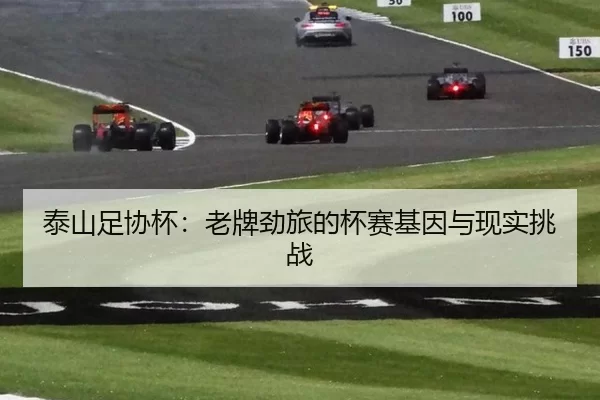 泰山足协杯：老牌劲旅的杯赛基因与现实挑战