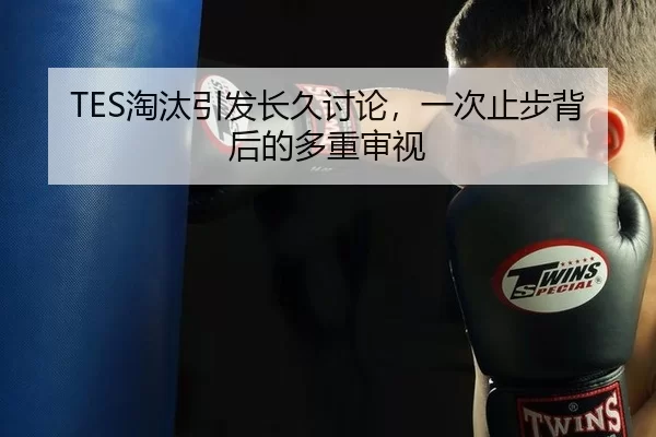 TES淘汰引发长久讨论，一次止步背后的多重审视